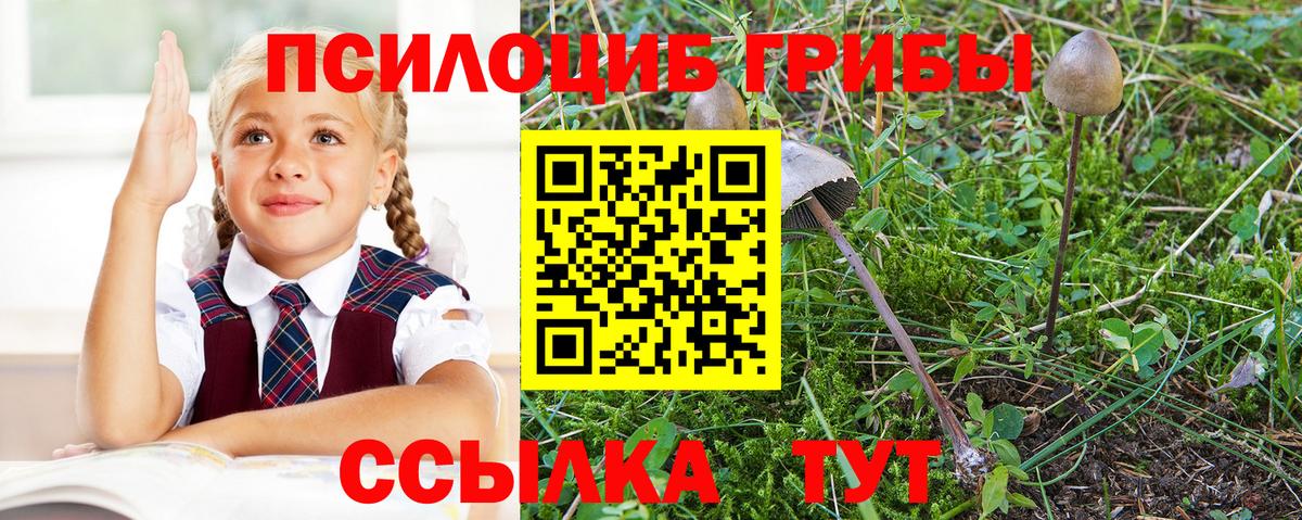 Галлюциногенные грибы Magic Shrooms Ишим