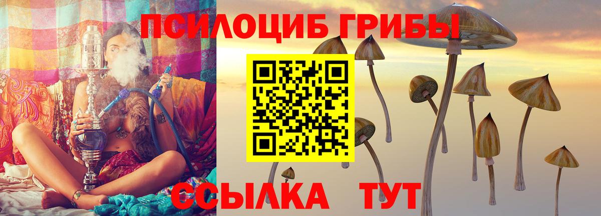 Псилоцибиновые грибы Cubensis  Псилоцибиновые грибы Psilocybine cubensis  Ишим  Вход с VPN 